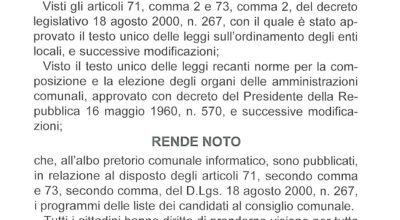 ELEZIONE DIRETTA DEL SINDACO E DEL CONSIGLIO COMUNALE