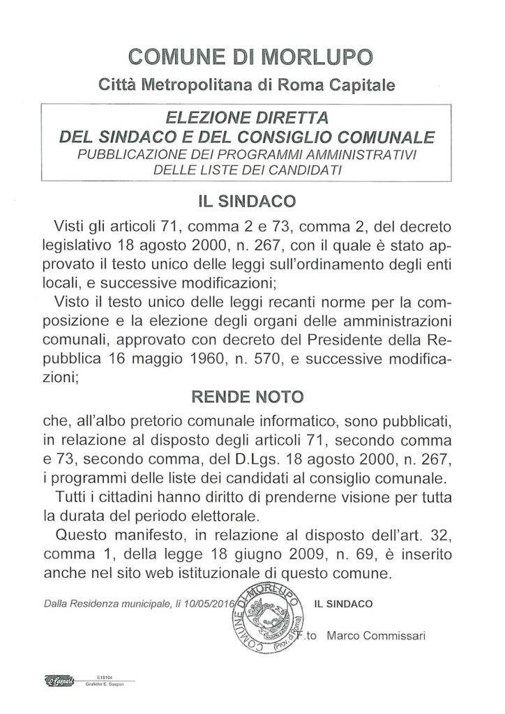 ELEZIONE DIRETTA DEL SINDACO E DEL CONSIGLIO COMUNALE