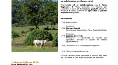 AVVISO ALLA CITTADINANZA