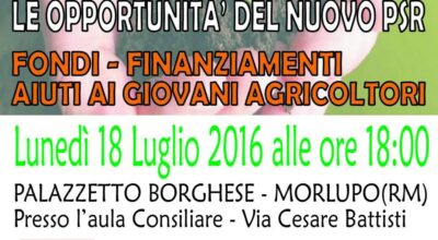 FONDI, FINANZIAMENTI, AIUTI AI GIOVANI AGRICOLTORI