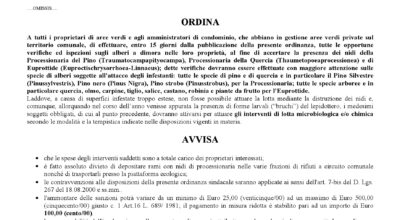 PROVVEDIMENTI PER LA LOTTA OBBLIGATORIA CONTRO LA PROCESSIONARIA DEL PINO E DELLA QUERCIA