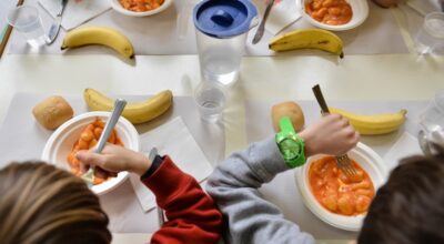 REFEZIONE SCOLASTICA – Elenco fornitori ed elenco prodotti biologici