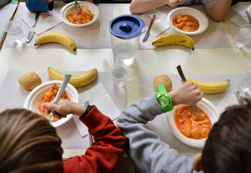 REFEZIONE SCOLASTICA – Elenco fornitori ed elenco prodotti biologici