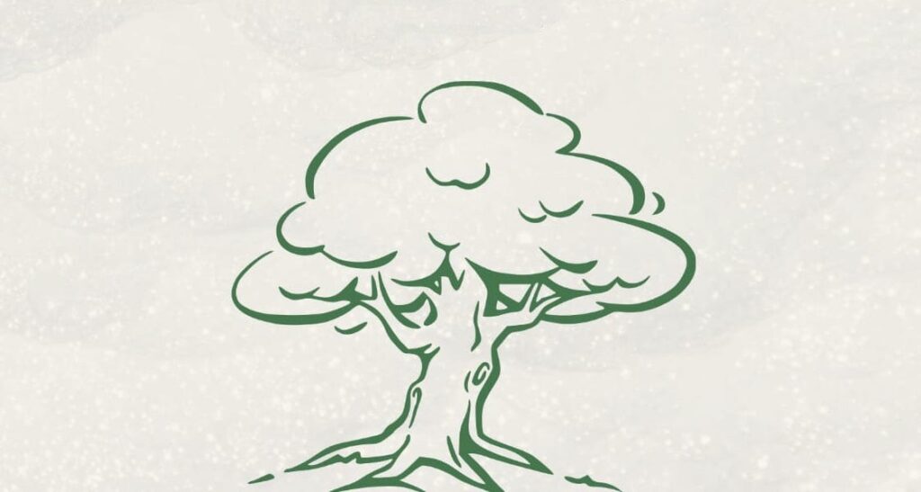 FESTA DELL’ALBERO – 21 Novembre 2023