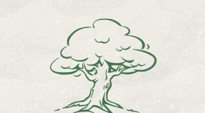 FESTA DELL’ALBERO – 21 Novembre 2023